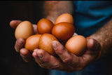 Gouda Morning Egg Bites
