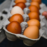 Rustic Italian Egg Bites